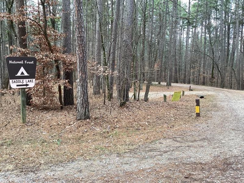 A photo of Saddle Lake Campground