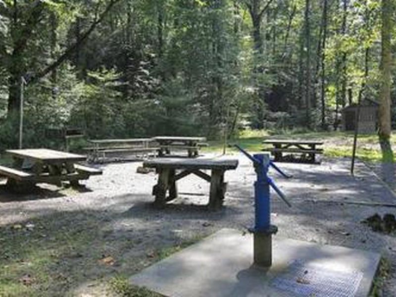Picnic area at White Pines Group Site