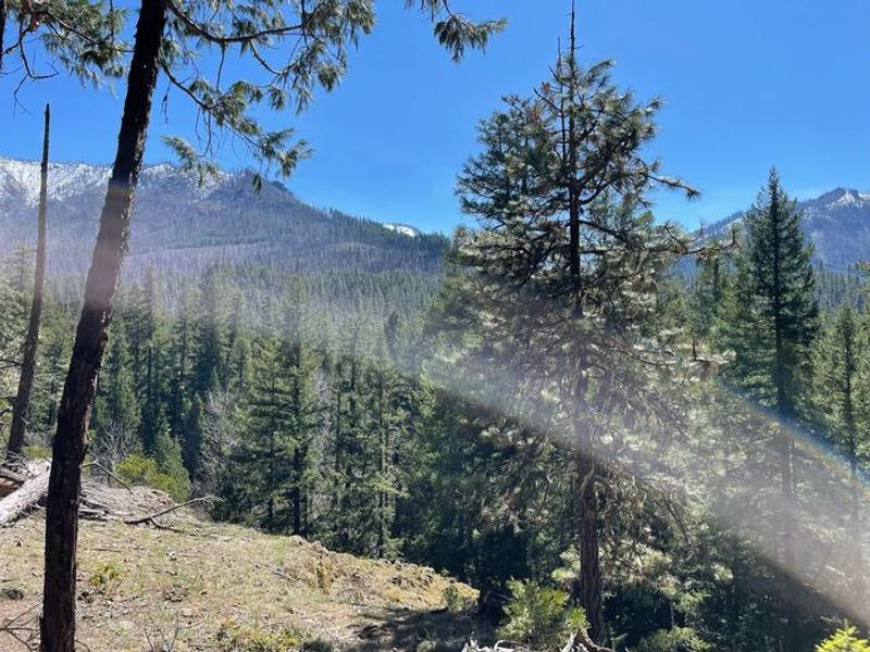 Another trail within the campground leads to a view of nearby peaks and offers wonderful birdwatching.