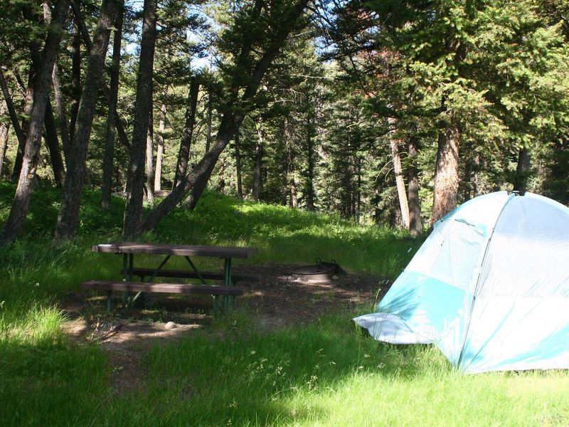 Slough Creek Campground Site #13
