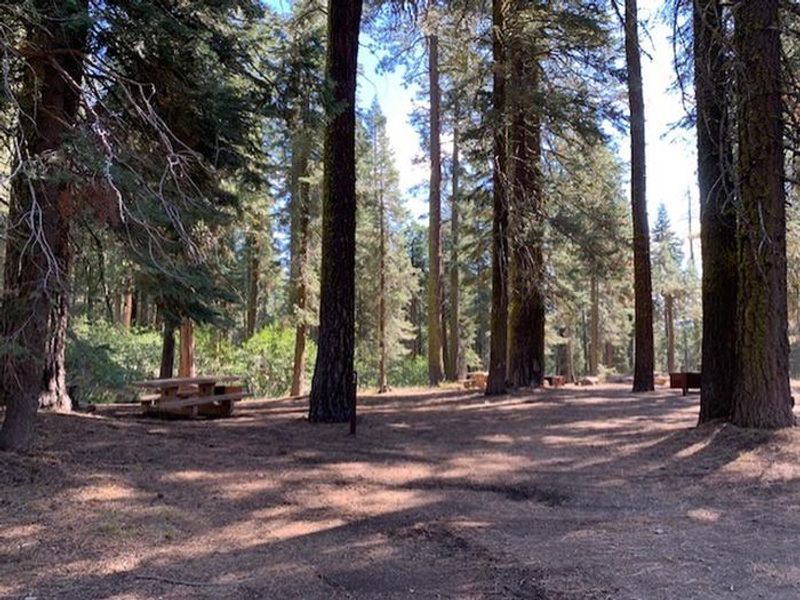 Forested campground in Warner Valley