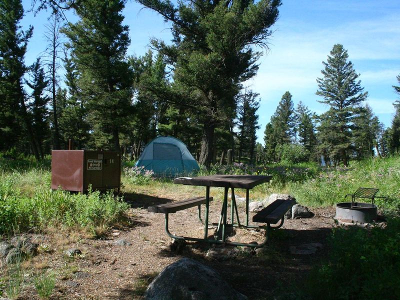 Slough Creek Campground Site #14