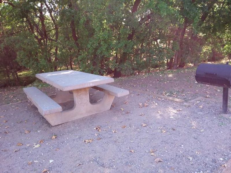 Picnic table and grill.