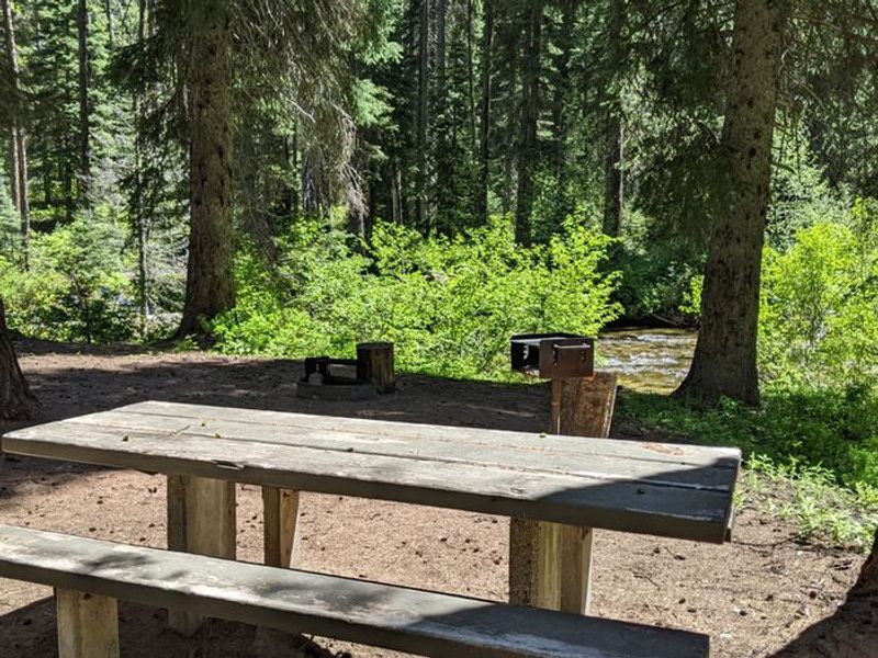 Lake Fork Campground Site 8