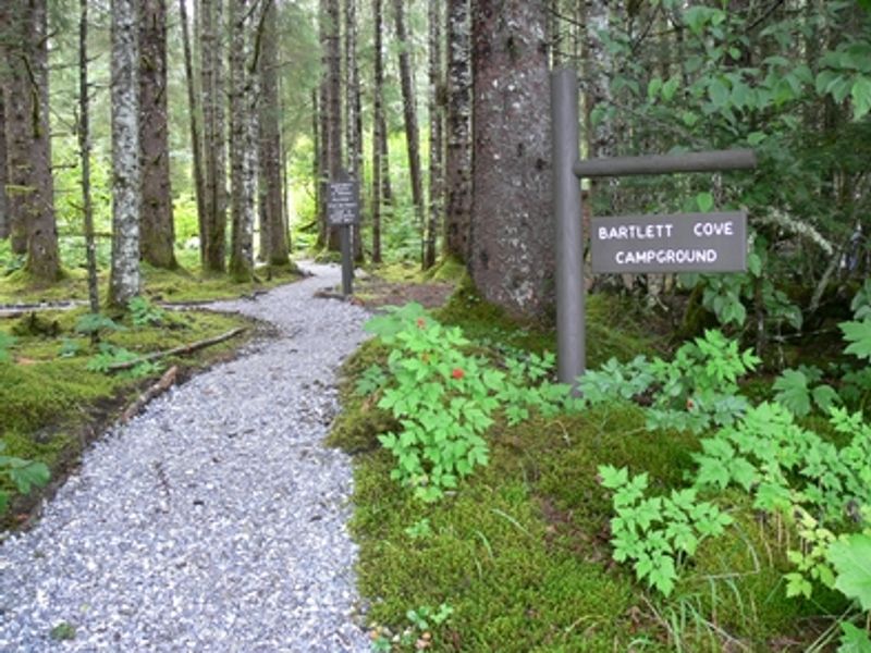 The Bartlett Cove campground is a walk-in campground along the shore of beautiful Bartlett Cove