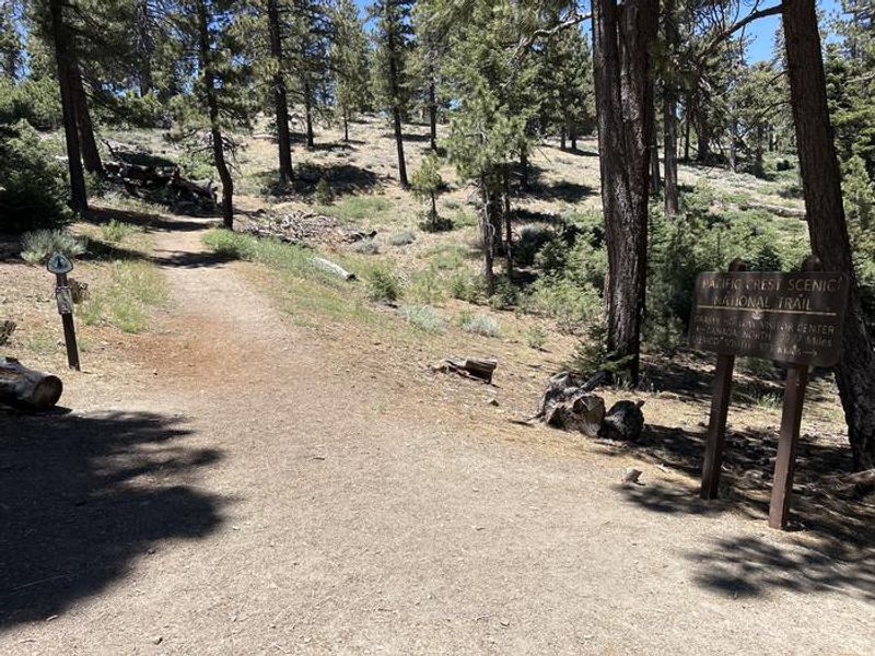 A photo of facility Grassy Hollow with No Amenities Shown