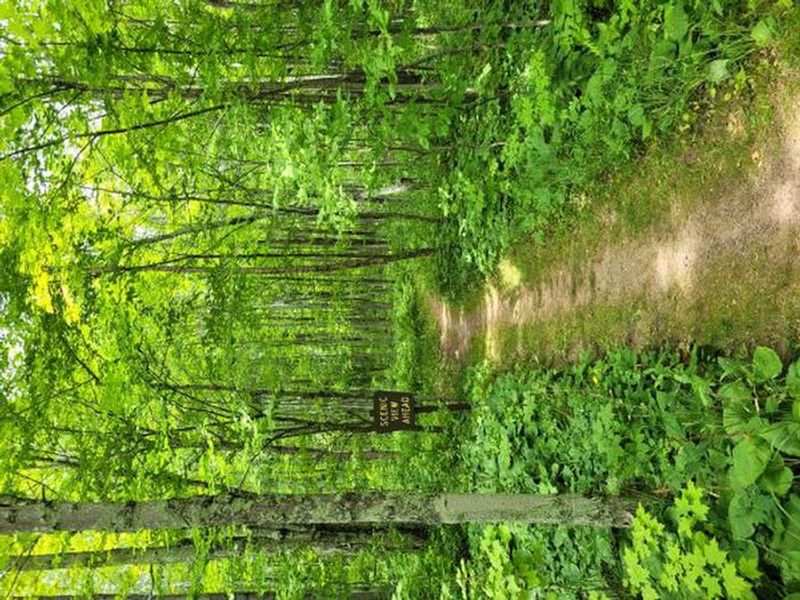 A photo of facility BLACK RIVER HARBOR CAMPGROUND 