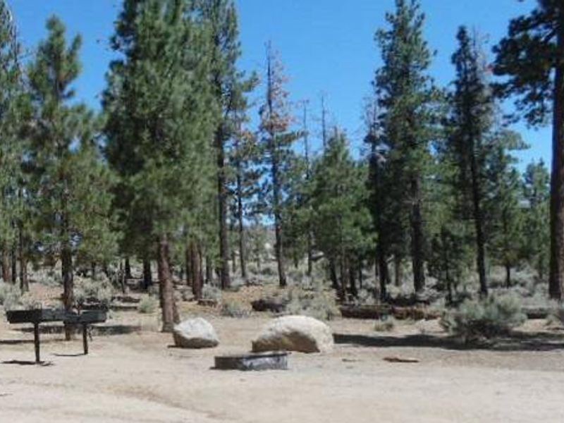 Picnic Table Area at Big Pine Equestrian Group Campground
