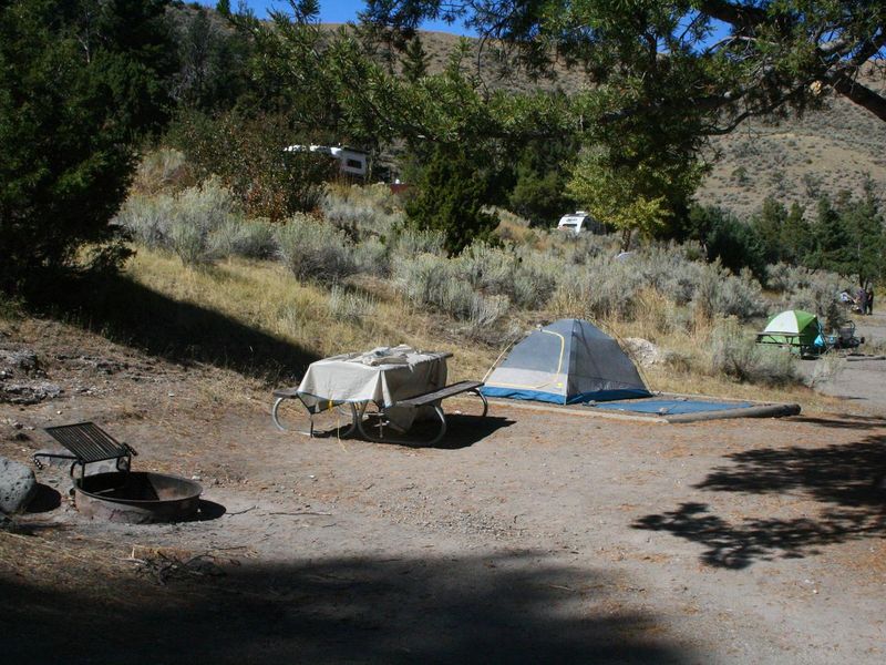 Mammoth Campsite #78