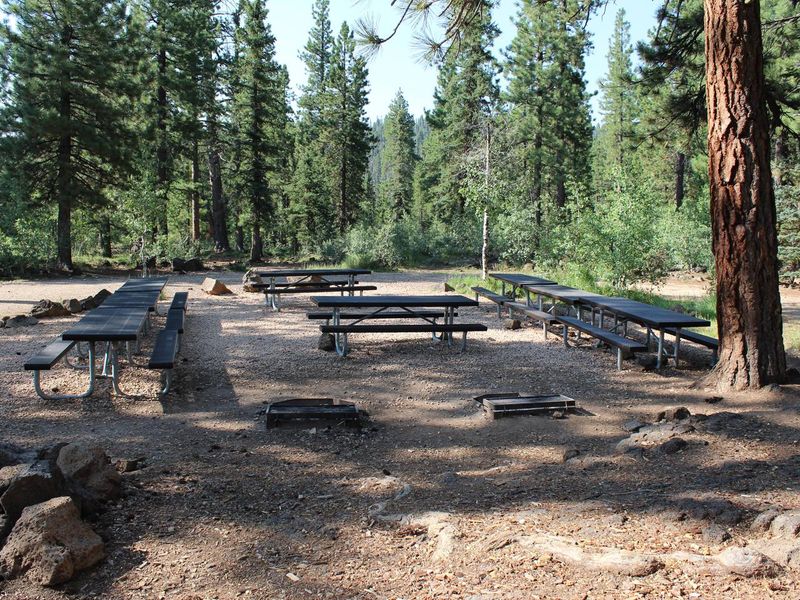 Wagon Train group site