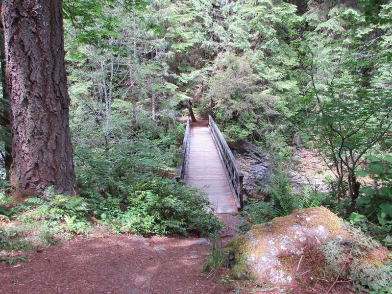 Explore nearby hiking trails like the Brice Creek Trail
