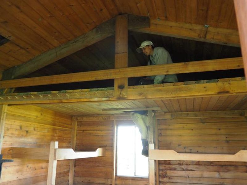 Climbing into the loft in Gut Island Cabin 1