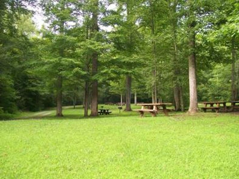 View of campground, tables and grills