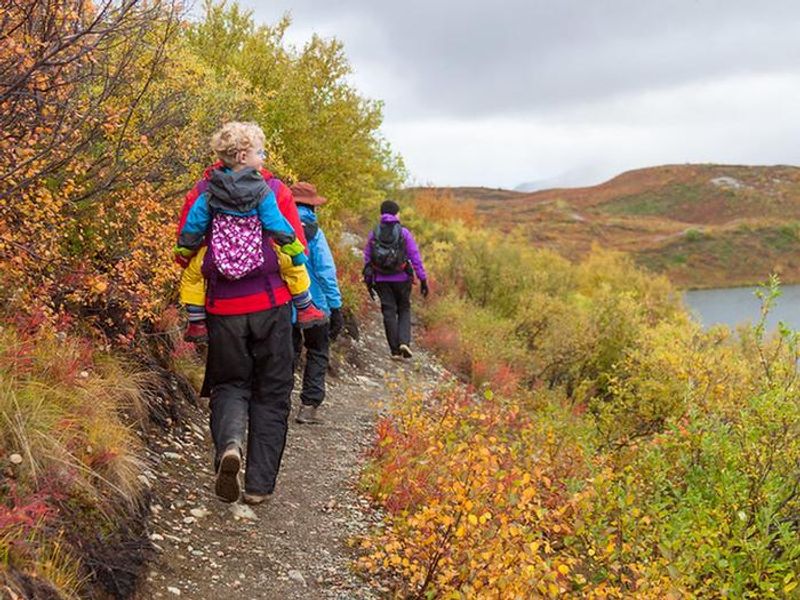 Hikers Tangle Lakes Foot Trail 