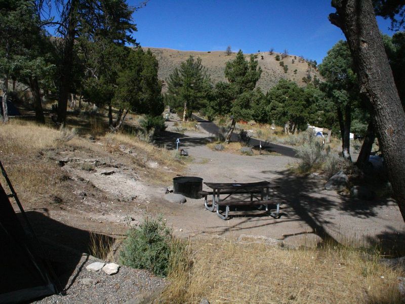 Mammoth Campsite #70, looking north