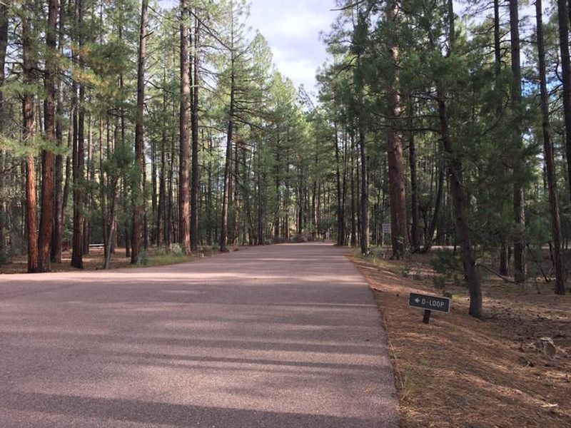 Ponderosa Campground