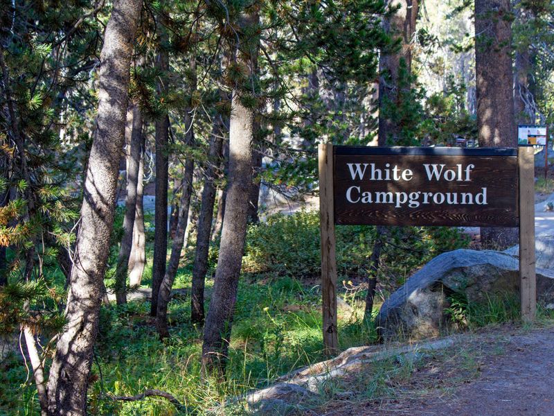 The entrance to White Wolf Campground