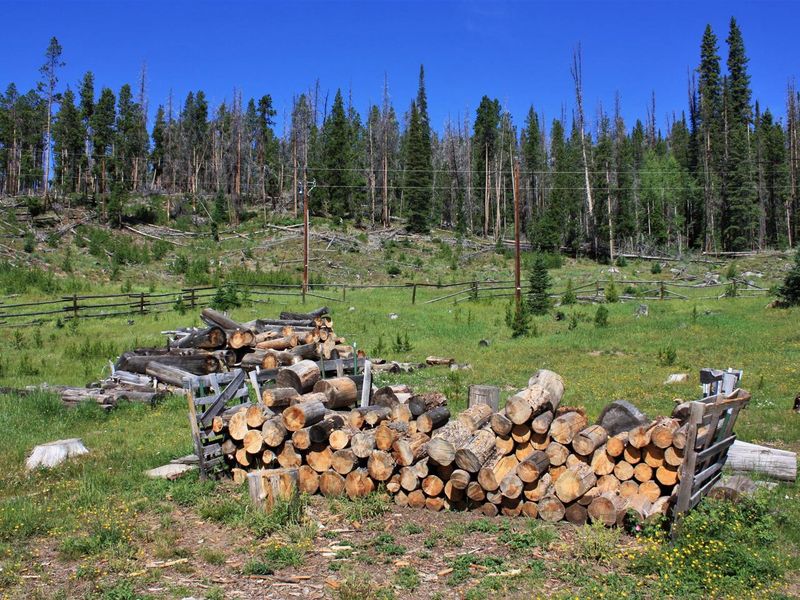Keystone Ranger Station woodpile