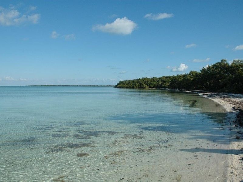 The northern end of Elliott Key at University Dock