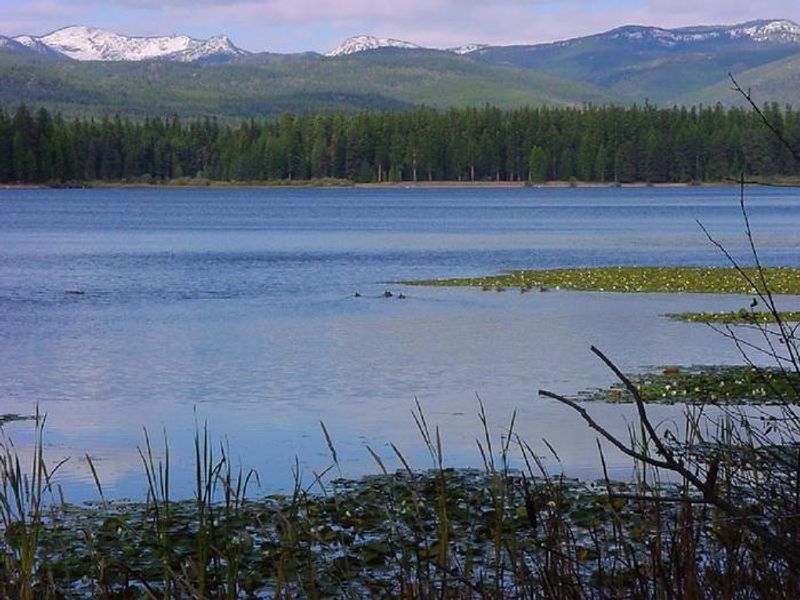 A photo of Big Larch Campground day use swimming beach. It is summer and there are blue skies and a blue reflection on the water. The snow-capped Mission mountains can be seen in the distance. 