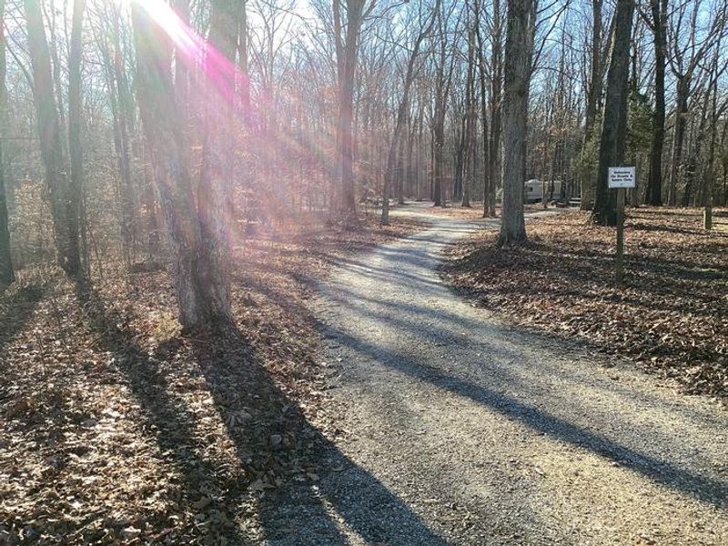 A photo of Youngs Creek Campground