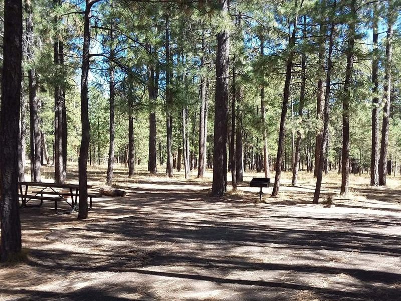 CANYON POINT Campsite