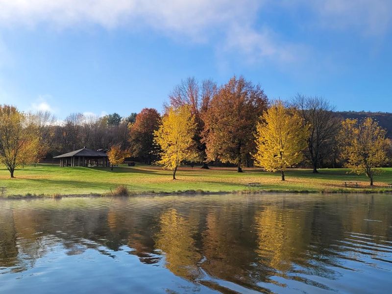 Cayuga Shelter at the Lawrence Recreational Area