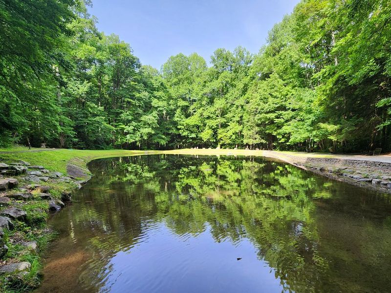 Rock Creek Swimming Pool