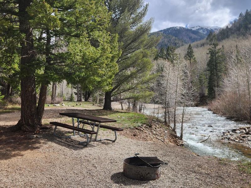 Campsite 3 with picnic table and fire ring located along LaPlata River