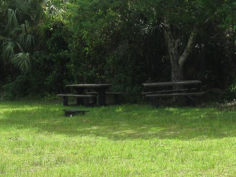 Shady area at Pincecrest