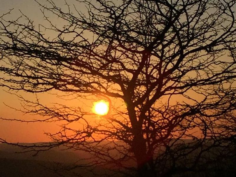 Monongahela National Forest