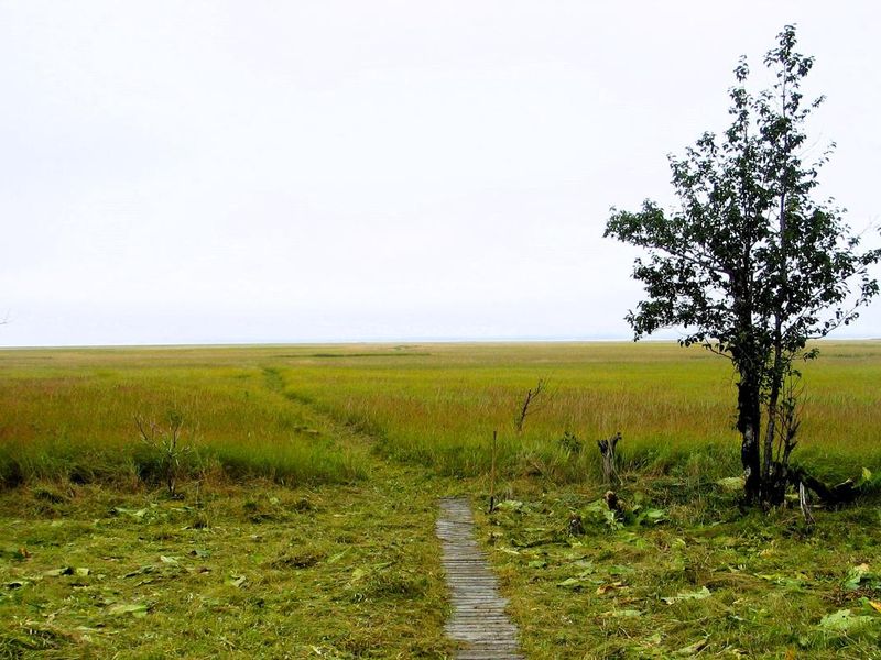 View from Koknuk Cabin