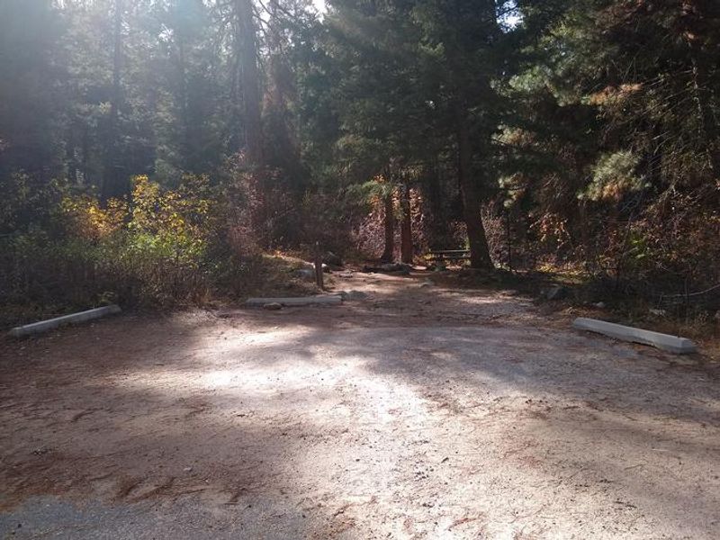 Parking for spot 4 is spacious.  Please remember that individual sites cannot be reserved.  Hayfork Group Campground can only be reserved as a whole.