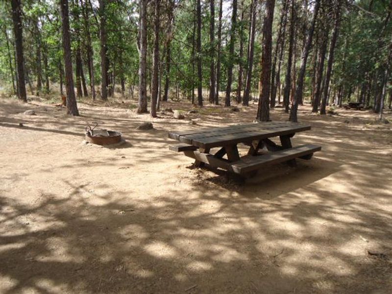 Rock Creek Mt Hood NF