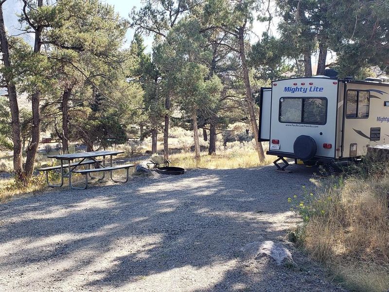 Mammoth Campsite #54