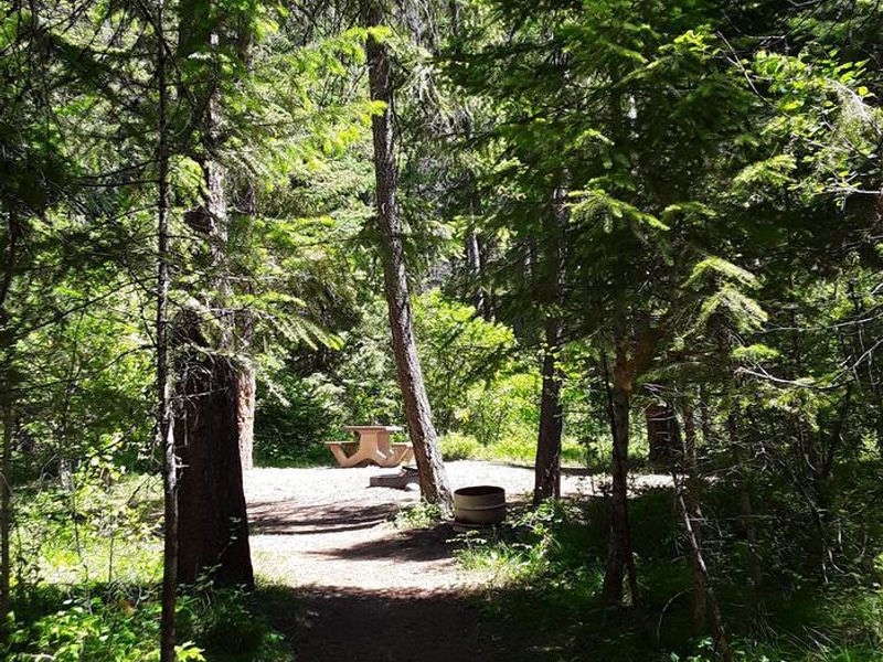 Trout Creek Campground