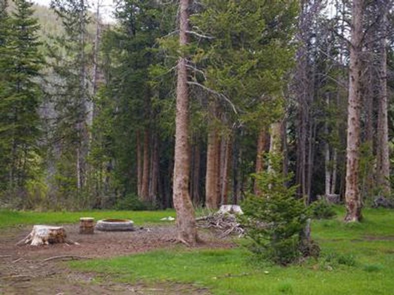 Lake Canyon Campground