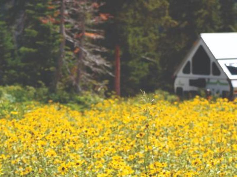 The Point Supreme Campground offers beautiful views of wildflowers and cool temperatures. 