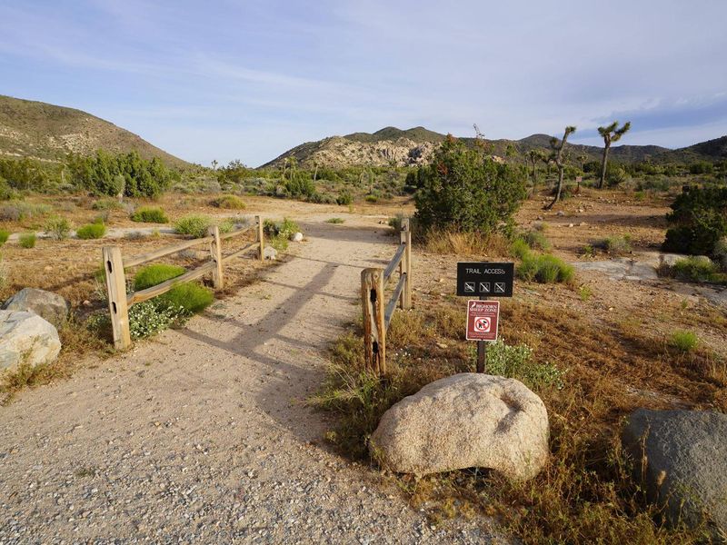 The trail head to Ryan Mountain