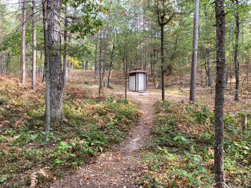Pit toilet in the woods