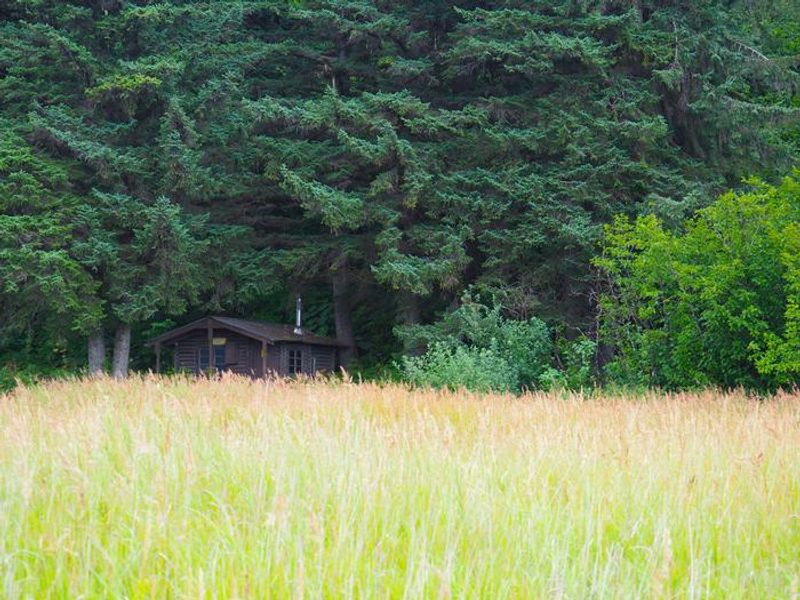 Surroundings of Sergief Island Cabin