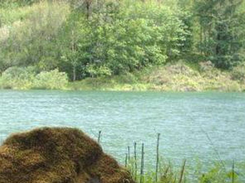 Willamette National Forest