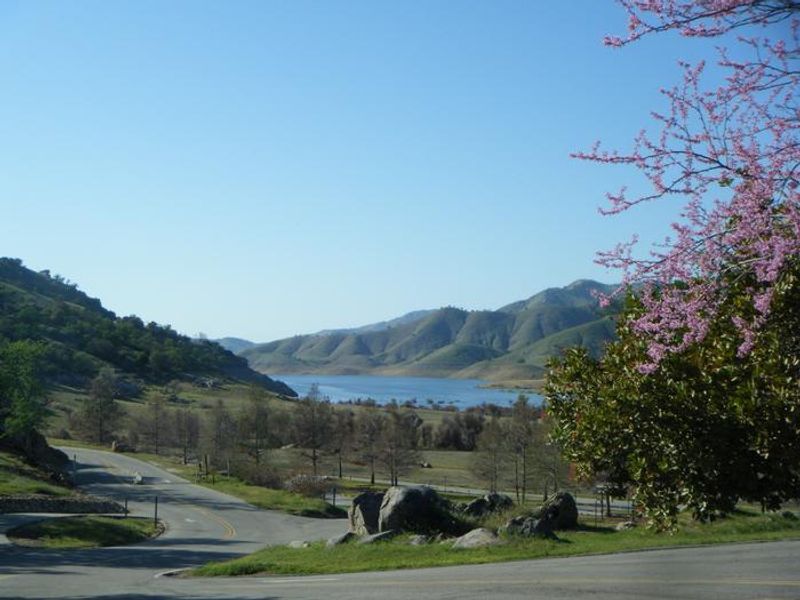 Spring time view of Lake Kaweah 2021