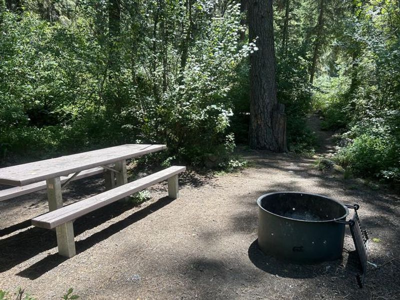 Brownlee Campsite #6 with fire pit and picnic table