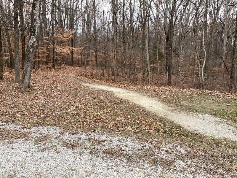 A photo of facility Hickory Ridge Trail as it leaves the campground.