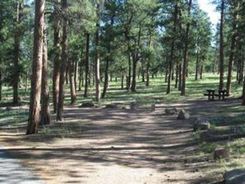 Colorado Campground view