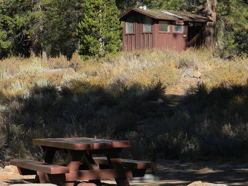 A typical campsite at Lower Little Truckee Campground.