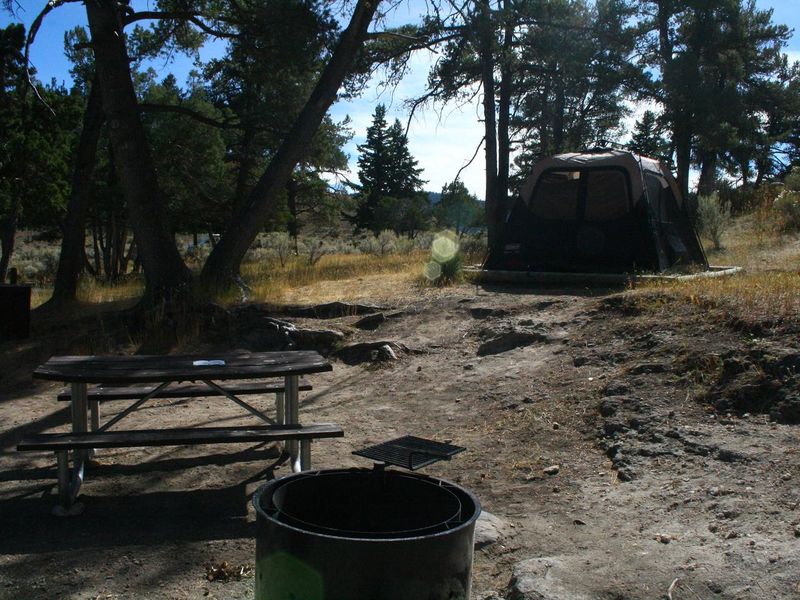Mammoth Campsite #70