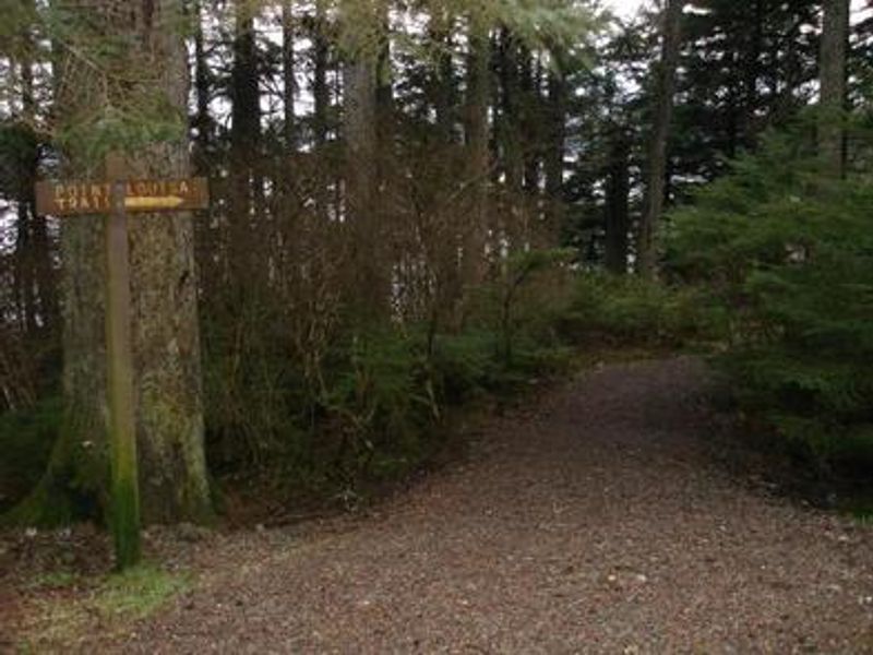 Pt. Louisa Trail
