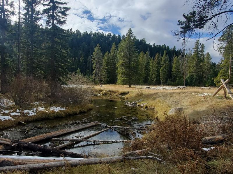 Picnic area alongside East Fork Rock Creek